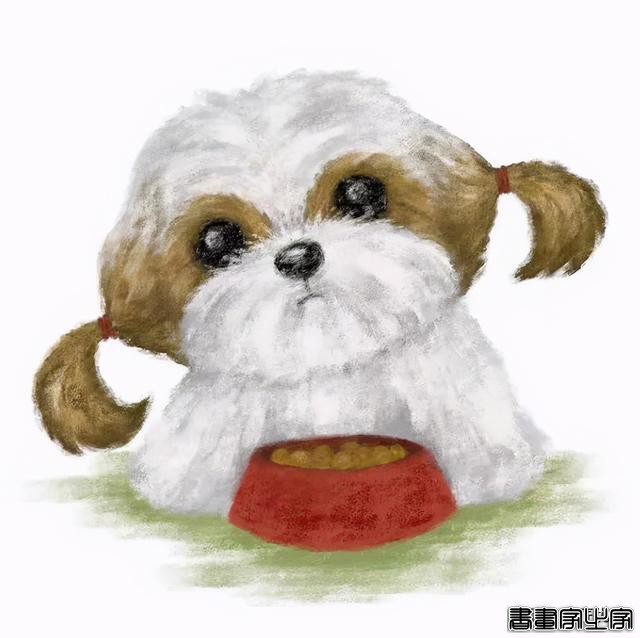 这么可爱的插画，送你拿去做头像吧-5.jpg