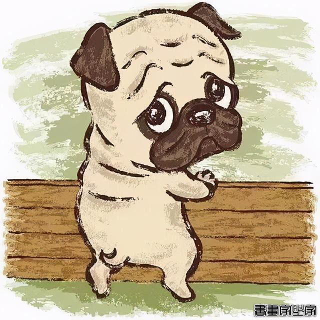 这么可爱的插画，送你拿去做头像吧-17.jpg