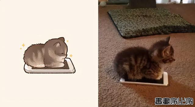 一组萌化人心的猫咪插画，每张都超适合当头像-7.jpg