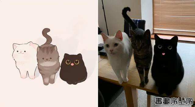 一组萌化人心的猫咪插画，每张都超适合当头像-5.jpg
