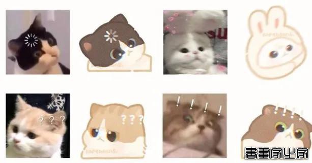 一组萌化人心的猫咪插画，每张都超适合当头像-17.jpg