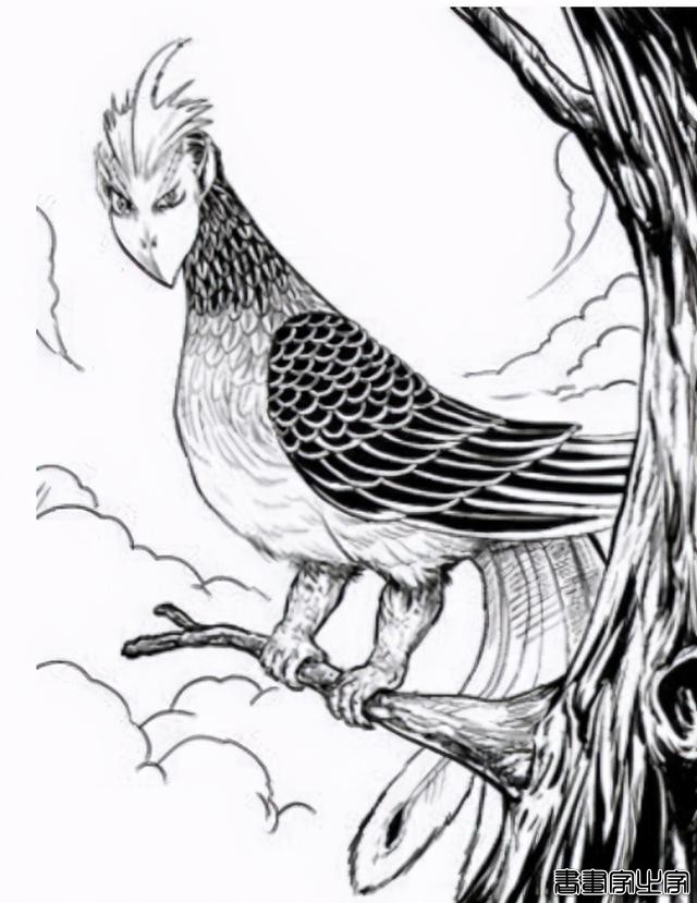 《山海经》是本谜样的书，三星堆铜人首鸟身像，据说是书中的禺强-6.jpg