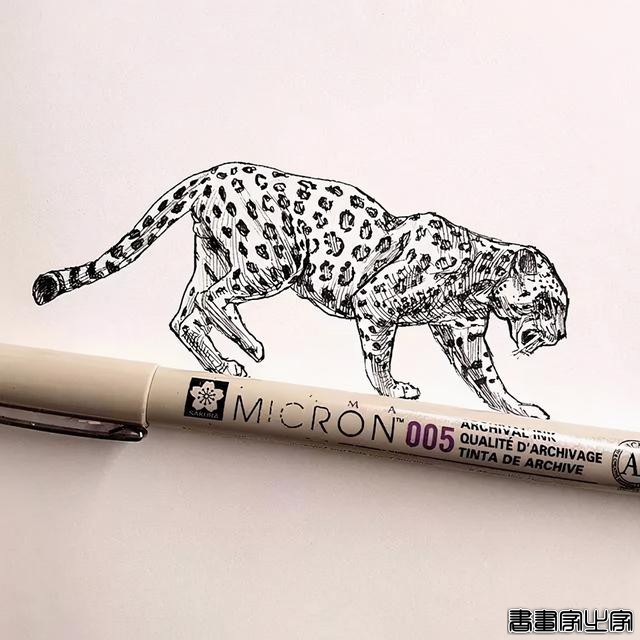 插画师：Alberto Russo ? ????-5.jpg