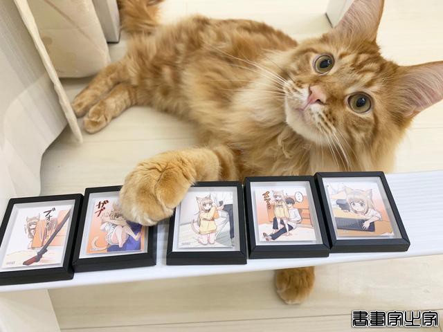 40原老师的喵娘系列插画估计快要动画化了，说实话还挺令人期待的-4.jpg
