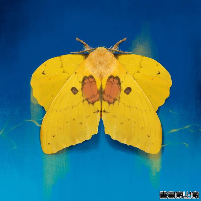 创意插画设计！手绘造型能力-24.jpg