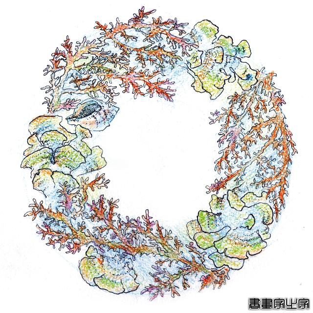 Елена Онюшкина（俄罗斯）插画-38.jpg
