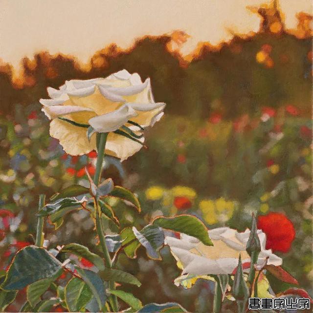插画师：Jeffrey Vaughn-6.jpg