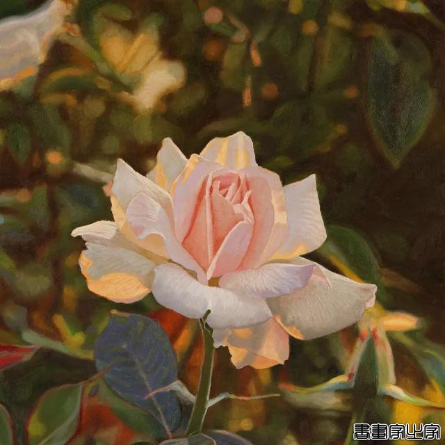 插画师：Jeffrey Vaughn-7.jpg