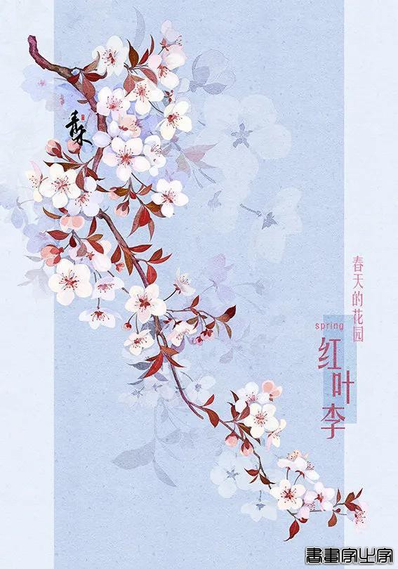古风插画｜《春天的花园》-7.jpg