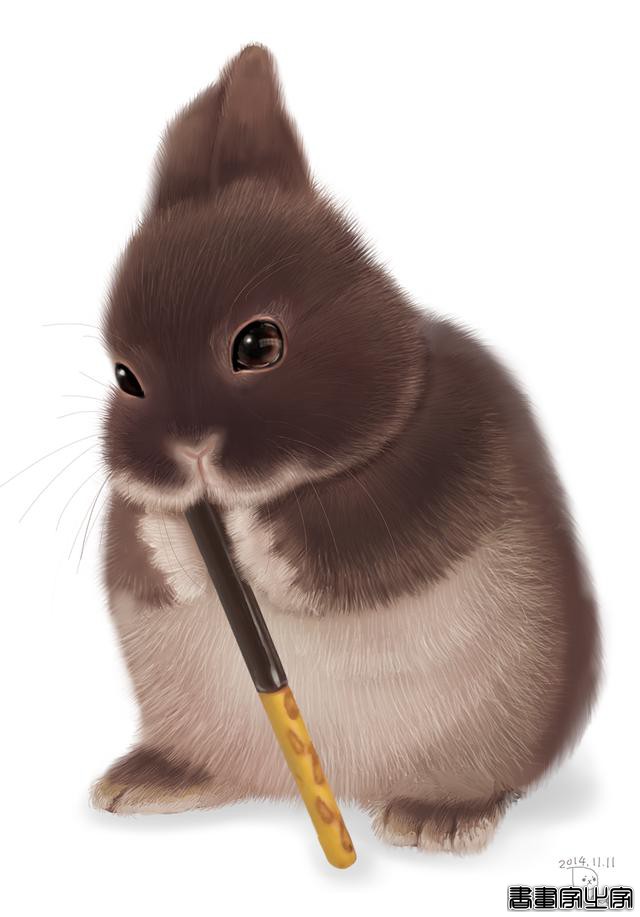 插画｜Phoca（日本）-5.jpg