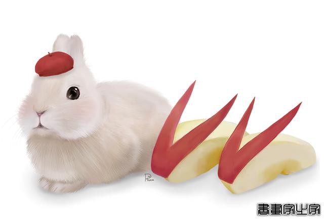 插画｜Phoca（日本）-12.jpg