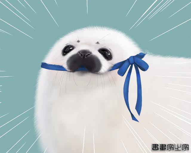 插画｜Phoca（日本）-19.jpg