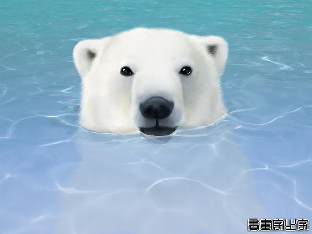 插画｜Phoca（日本）-20.jpg