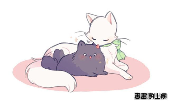 可爱的小动物插画-4.jpg