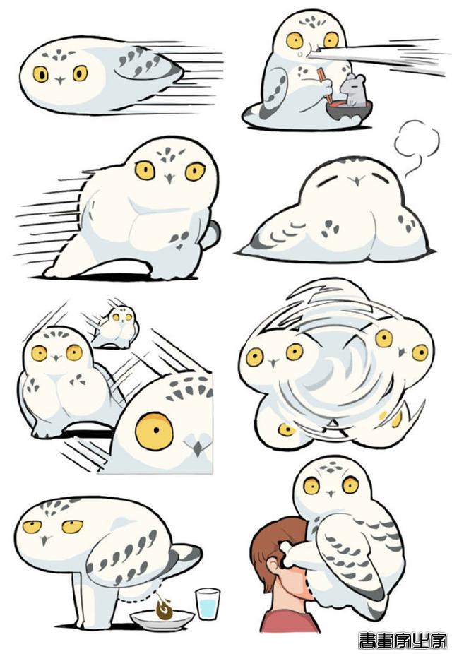 超治愈小动物插画-4.jpg