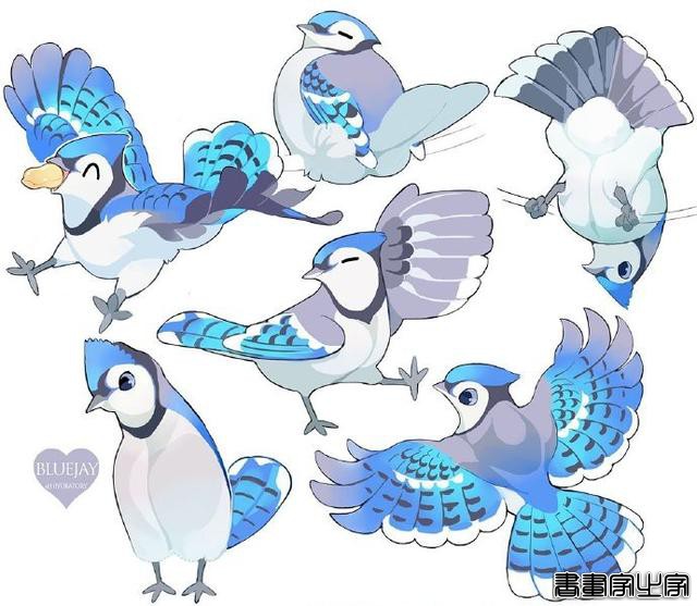 超治愈小动物插画-9.jpg