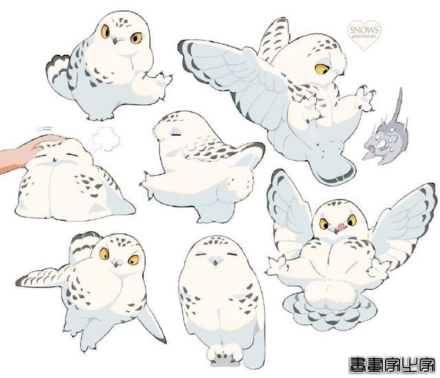 超治愈小动物插画-7.jpg
