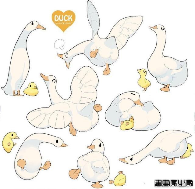 超治愈小动物插画-6.jpg