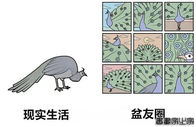 这脑洞可真顶顶顶！内涵插画你看懂没，建议多看几遍-50.jpg