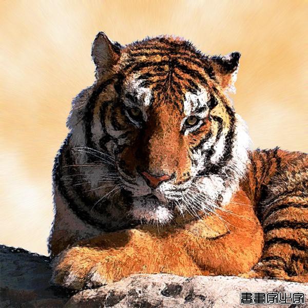 插画｜トシ（日本）-41.jpg