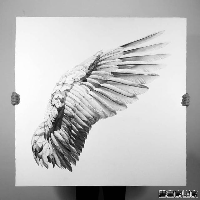 有质感的针管笔插画-7.jpg