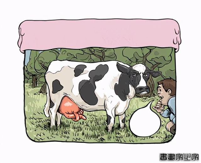 土耳其 Behnan Shabbir 动物插画-8.jpg