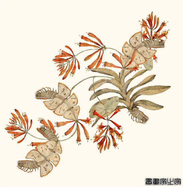 「插画」Lina Kusaite-7.jpg