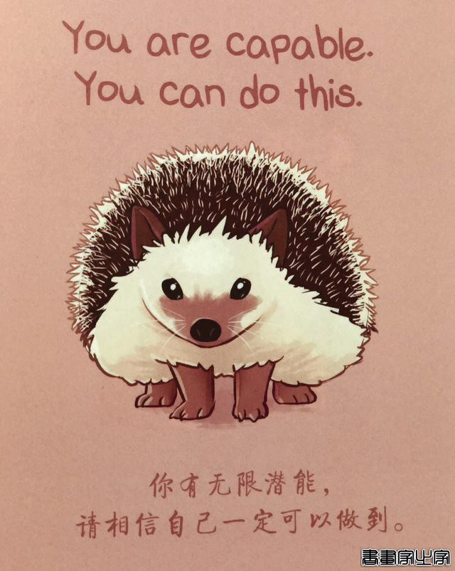 《柔软的刺猬》：130+暖心插画和智慧文字，自我疗愈的内在力量-7.jpg