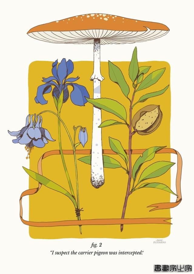 苏格兰爱丁堡插画家Anine B?senberg插画设计作品-17.jpg