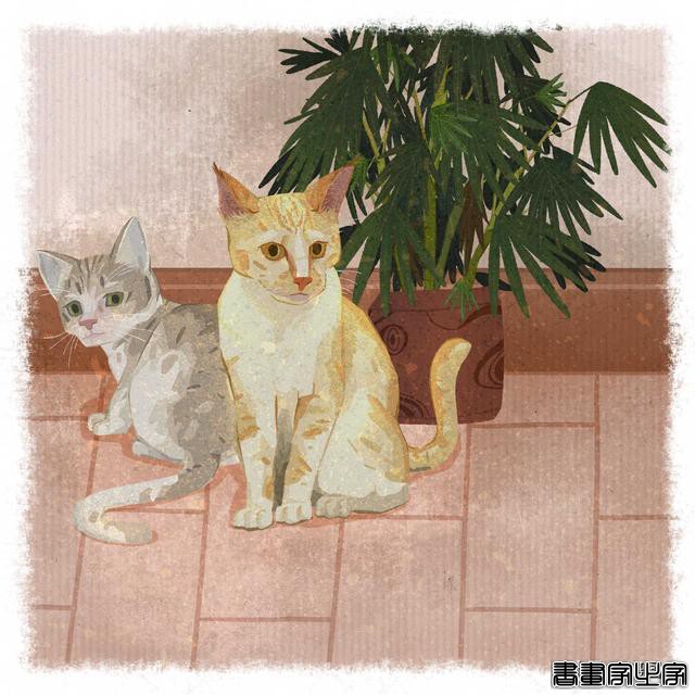 喵喵喵~可爱的猫咪插画来啦，戳进来看看有你喜欢的吗-8.jpg