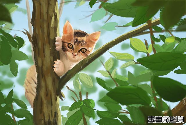 喵喵喵~可爱的猫咪插画来啦，戳进来看看有你喜欢的吗-10.jpg