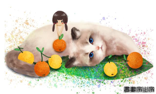 喵喵喵~可爱的猫咪插画来啦，戳进来看看有你喜欢的吗-11.jpg