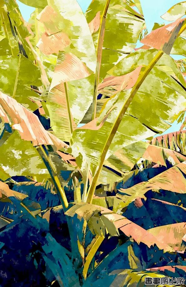 热带风潮插画风格83Oranges插画设计作品，不拘一格的热带生活-26.jpg