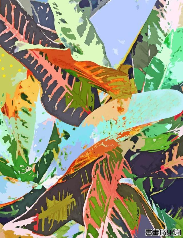 热带风潮插画风格83Oranges插画设计作品，不拘一格的热带生活-32.jpg