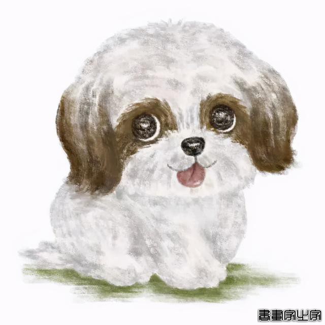 六月第一波插画头像-4.jpg