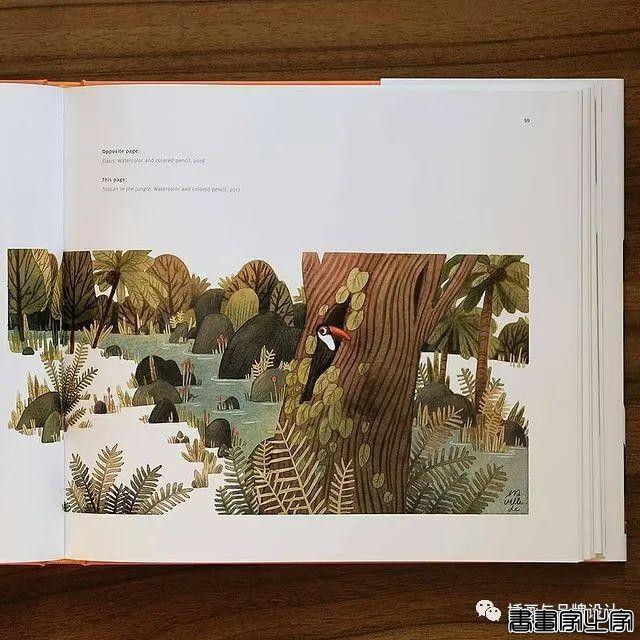 手绘丨颜色超好看的水彩插画，可爱至极的笔触勾勒出生活最自然丰富的景致-78.jpg
