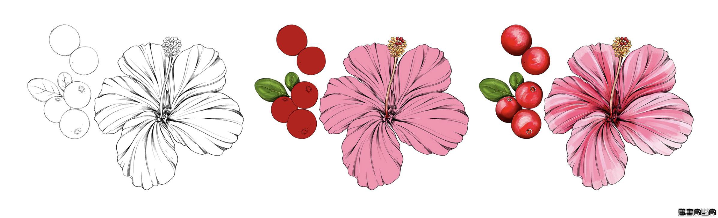 百花争艳 精美创意插画与产品包装创意-11.jpg