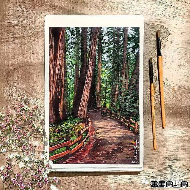 插画丨装进水彩里的相机插画，真实的让人惊叹，有趣的引人注目-66.jpg
