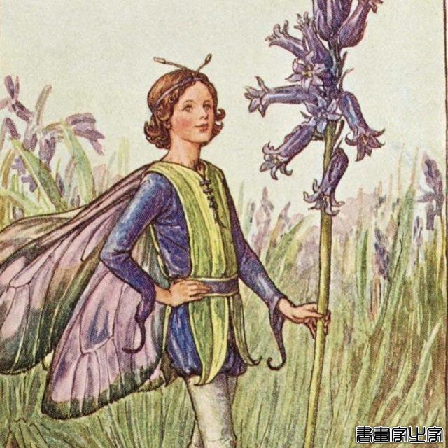 插画师：Cicely Mary Barker ????-6.jpg