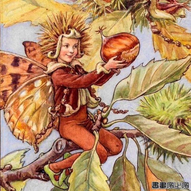 插画师：Cicely Mary Barker ????-8.jpg