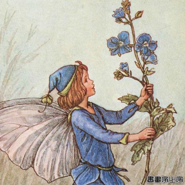 插画师：Cicely Mary Barker ????-9.jpg