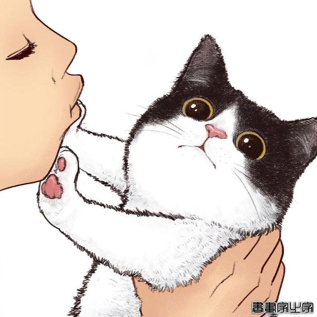 厉害的插画作品欣赏·你家的猫咪是不是也是这样-5.jpg