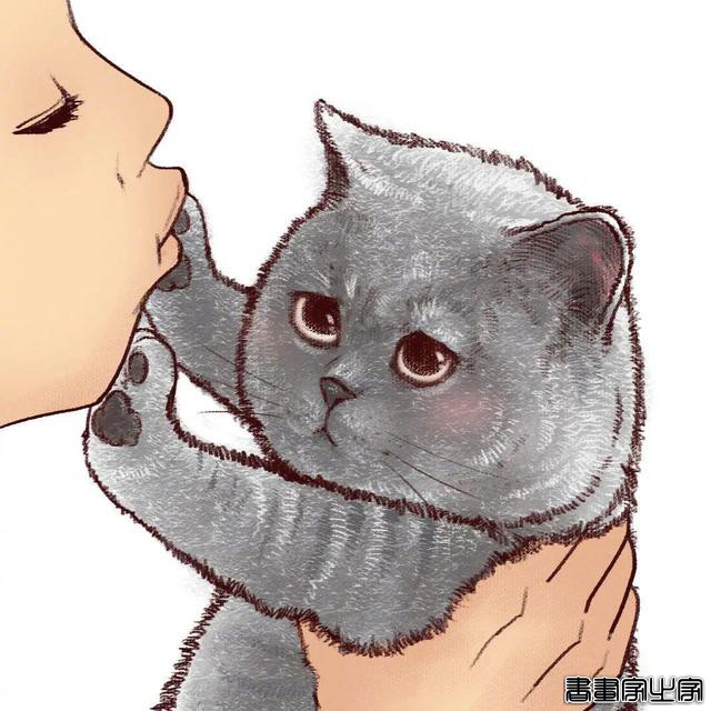 厉害的插画作品欣赏·你家的猫咪是不是也是这样-4.jpg