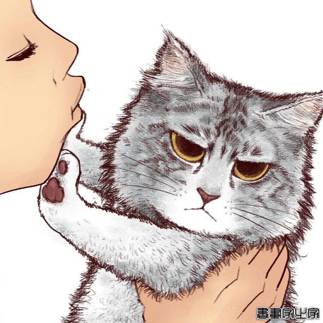厉害的插画作品欣赏·你家的猫咪是不是也是这样-9.jpg