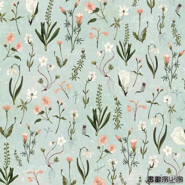 来自插画师 Katherine Quinn 绘画作品-7.jpg