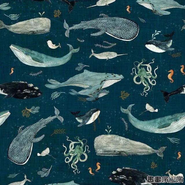 来自插画师 Katherine Quinn 绘画作品-9.jpg