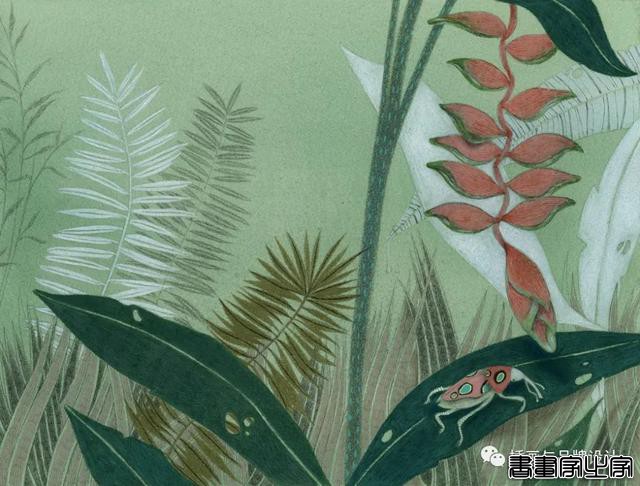 插画丨浓浓的手绘感，淡雅素净的色彩，带你走进静谧的童话世界-48.jpg