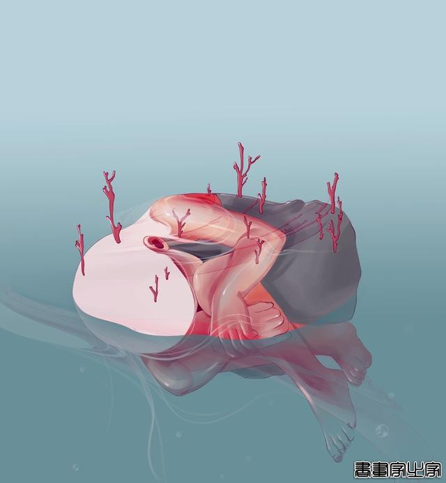 哥伦比亚自由插画师Alterlier插画设计作品02-18.jpg