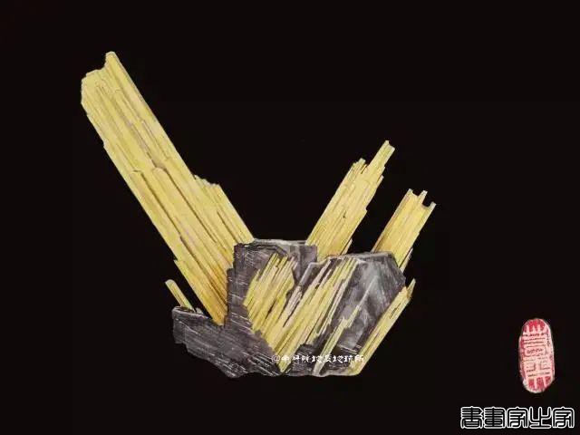 插画师眼中的神奇矿物-7.jpg
