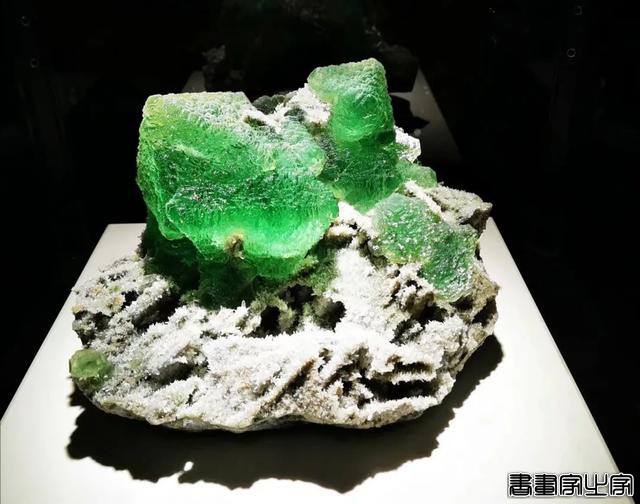插画师眼中的神奇矿物-24.jpg
